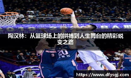 陶汉林：从篮球场上的拼搏到人生舞台的精彩蜕变之路