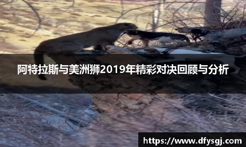 阿特拉斯与美洲狮2019年精彩对决回顾与分析